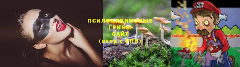 Галлюциногенные грибы мухоморы  Улан-Удэ 